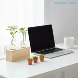 portableTest Tube Glass Propagation Vase Hydroponic Station with Wooden Stand for Herb  Home Decor