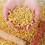 Portable Corn Thresher Accessory Fully Automatic Corn Peeling Machine Head Small Electric Grain Planer Separator