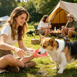 Dog Water Bottle Portable Foldable Dog Watering Container Puppy Water Dispenser for Pet Parents Animal Lovers Trainers Hiking