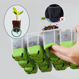 Greenhouse Seed Starter Tray Seedling Box with Adjustable Ventilator Cover  Plant Germination Transplant 12-Cell TPE Nursery Pot