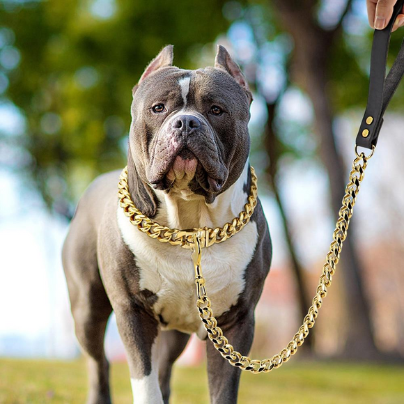 Stainless Steel Dog Chain Collar And Leash Super Strong Dog Metal Collar Choke Silver Gold