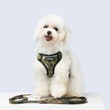 Harness Leash Sets Adjustable Lengths Reflective Design Breathable Mesh Dog Collar